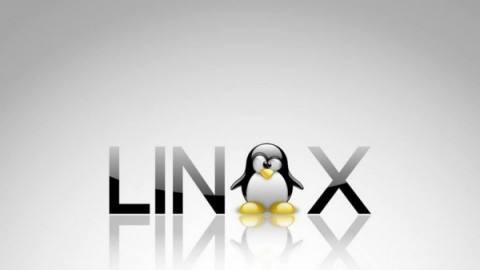 Linux实战技能四